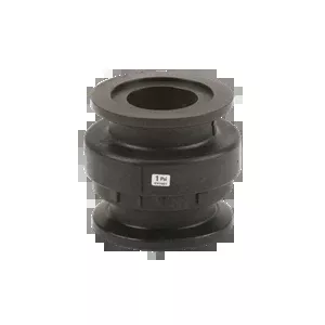 Banjo 2" Flanged Check Valve P/N: GGMCV200