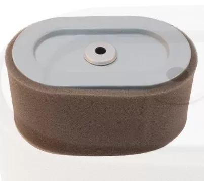 Briggs and Stratton Air Filter Combo P/N: GG102396
