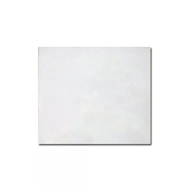 Clear Cover Lens 4.5 X 5.25 Pkg/10