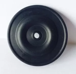 D10 Diaphragm P/N: GGD10D