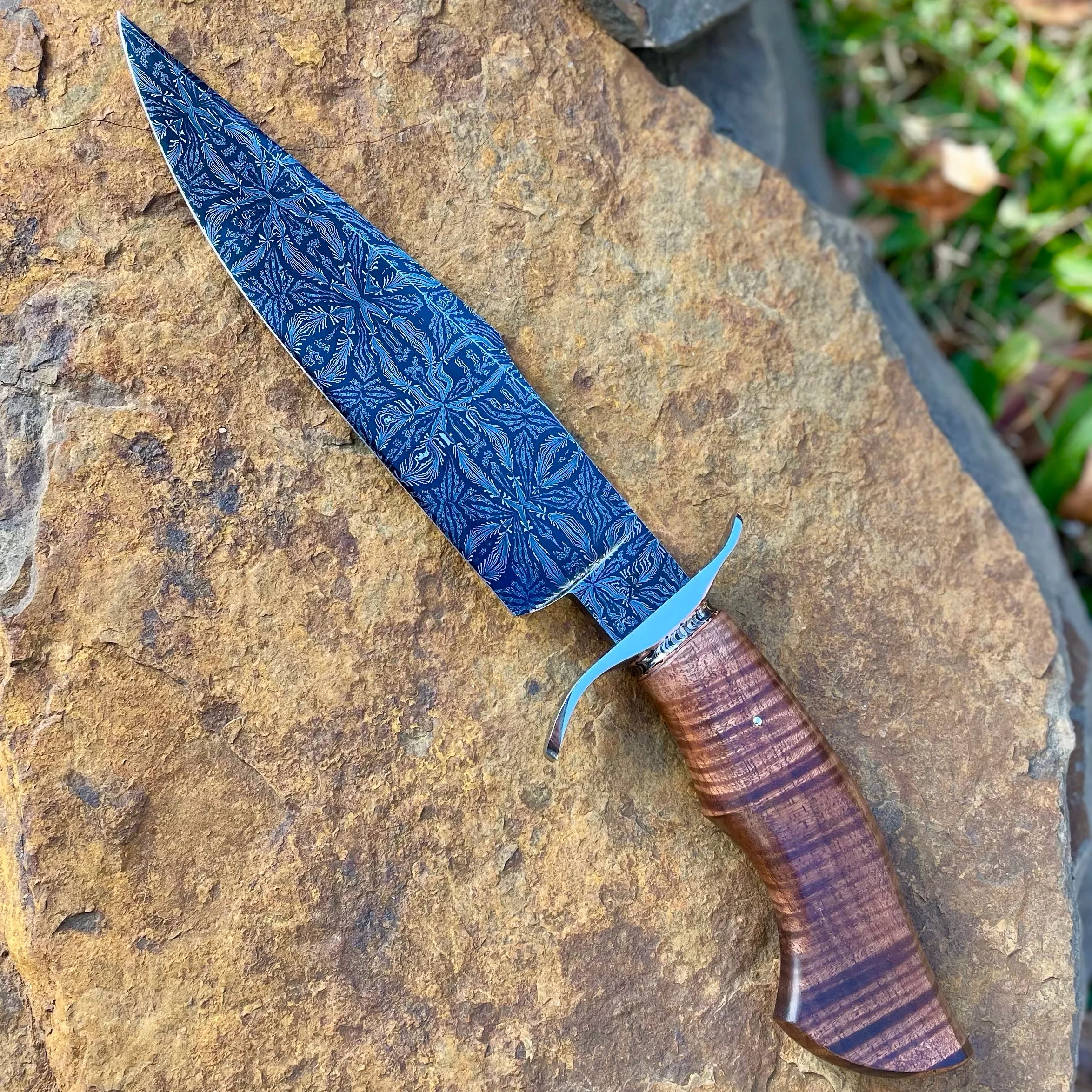 Damascus Bowie Fighter w/ Curly Koa