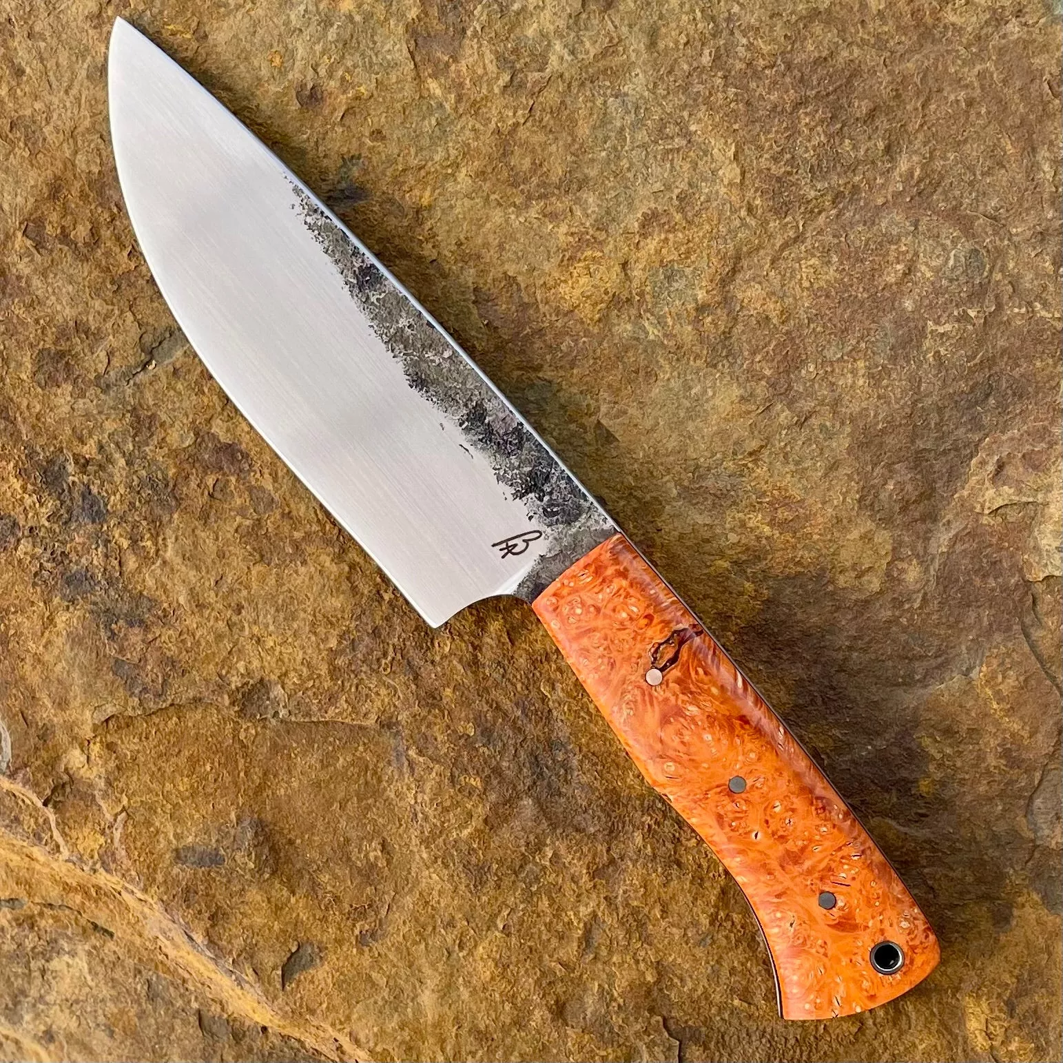 Hunter in 80CrV2 w/ Orange Box Elder Burl