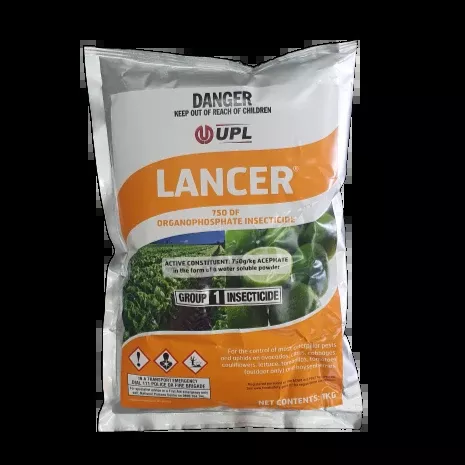 Orthene WSG Insecticide 1kg (NDG)