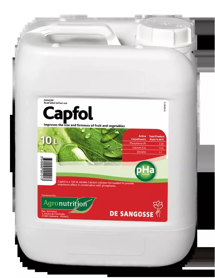 Pancal Calcium 10L