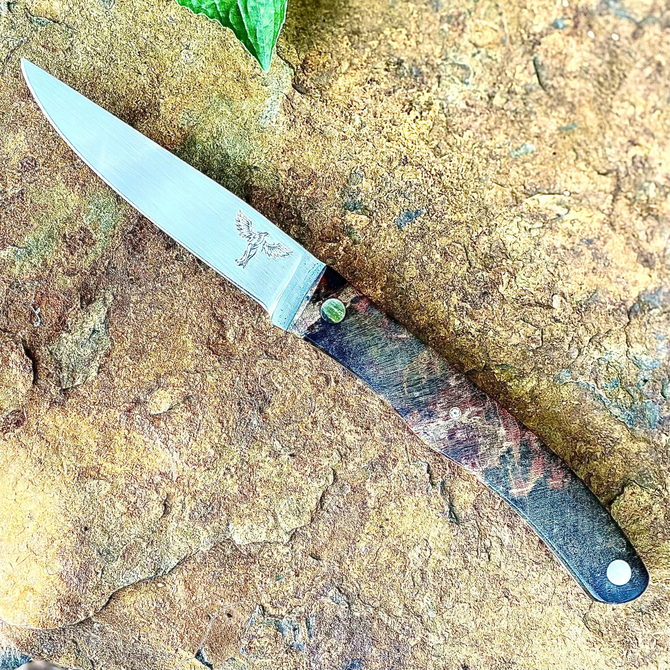 Paring Knife in 52100 w/ Box Elder Handle