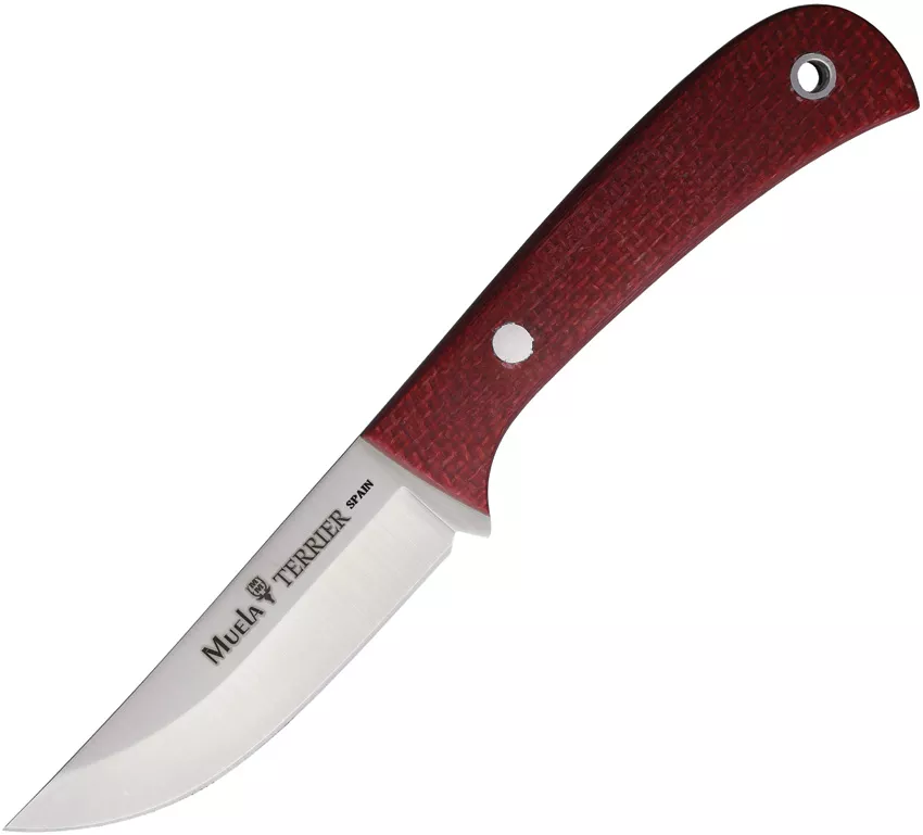 Terrier Fixed Blade Red