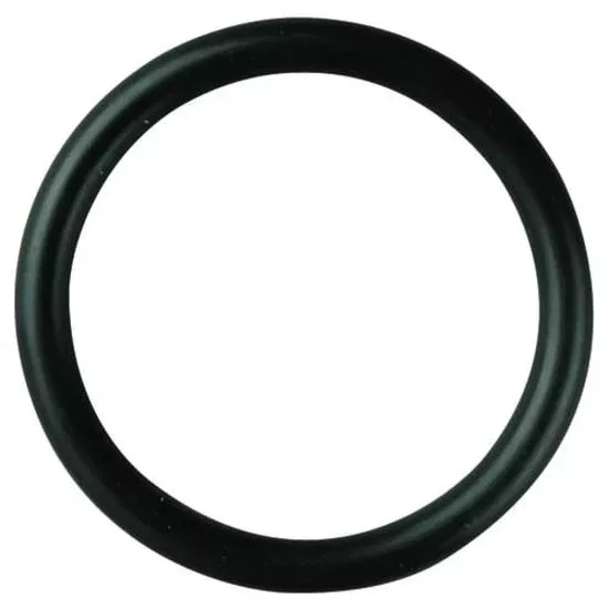 Valve O-Ring Suits Comet Pump