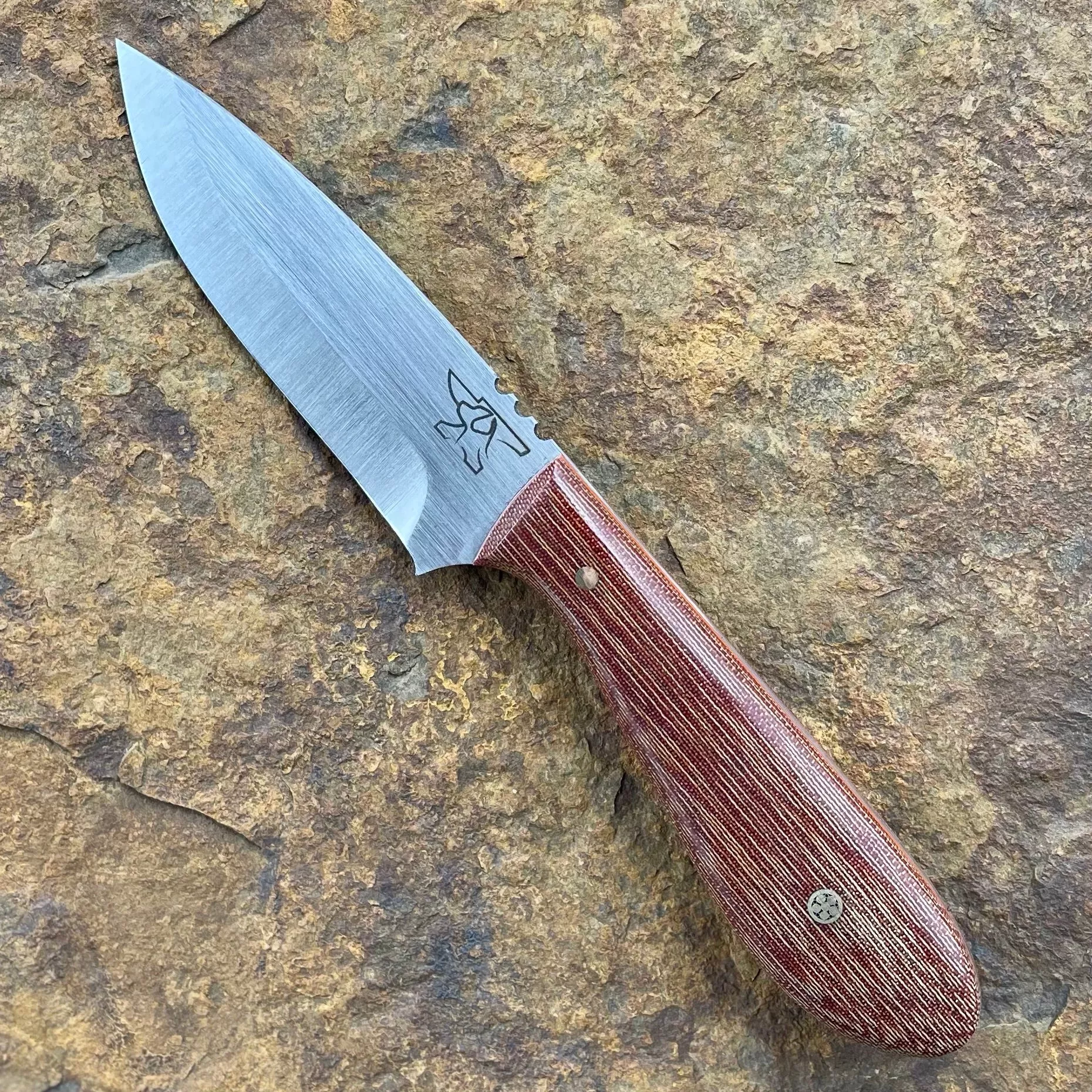 Vireo in AEB-L w/ Cross Cut Micarta