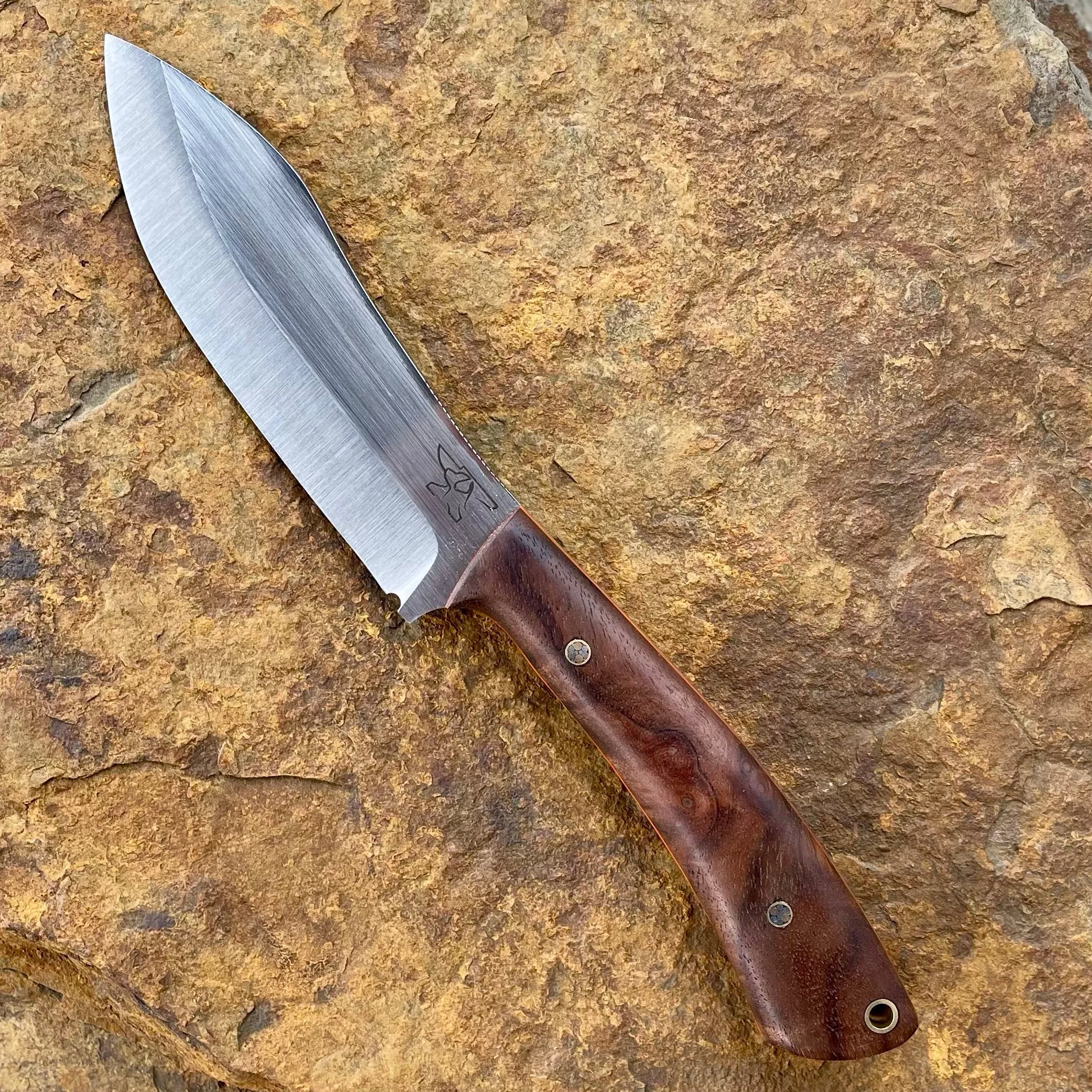 Vulture in AEB-L w/ Walnut