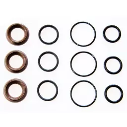 Water Seal Kit Suits Interpump RK15 15mm