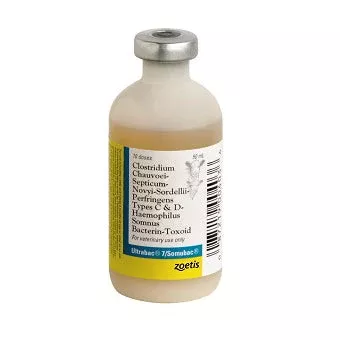 Zoetis ULTRABAC 7/SOMUBAC